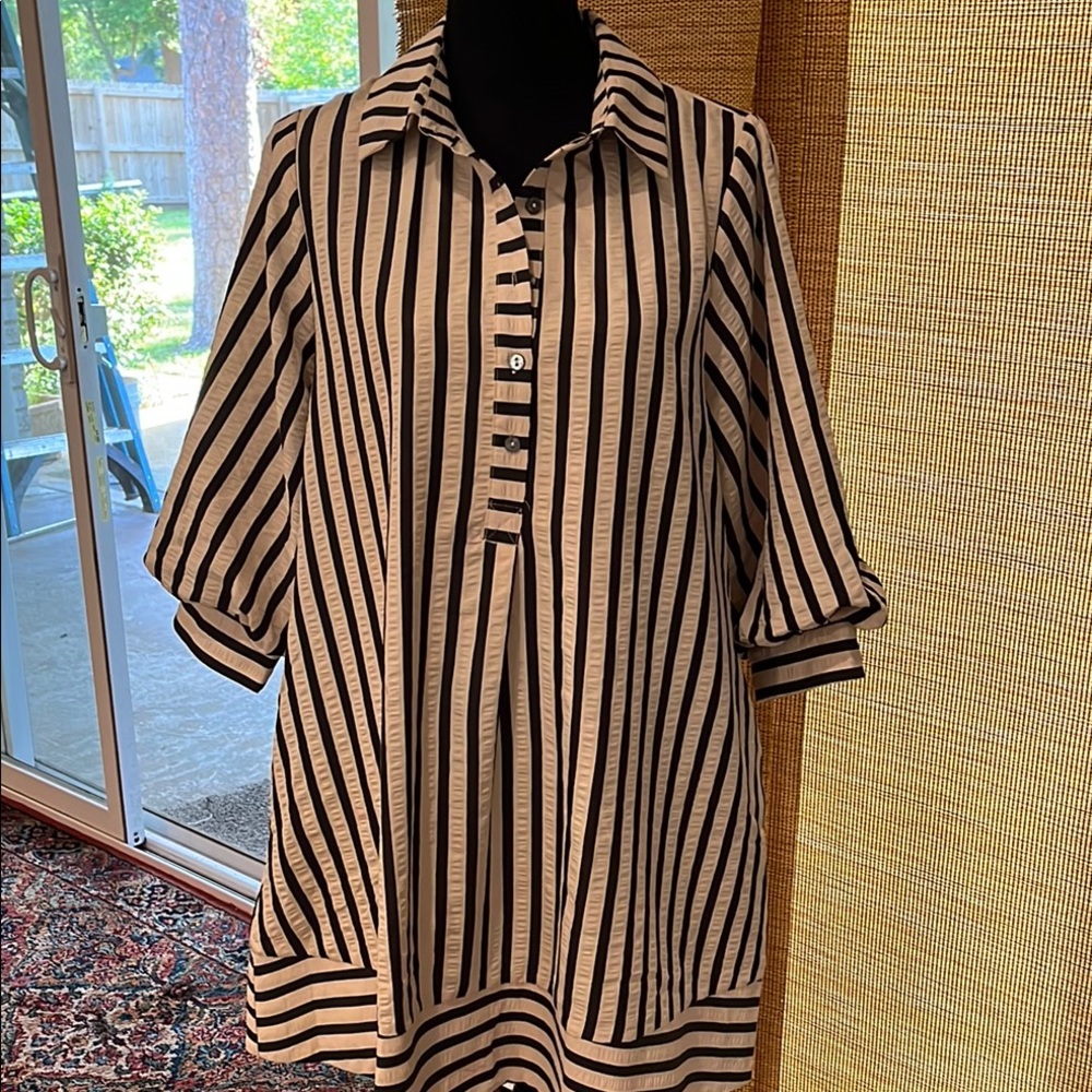 Striped Black and White Button-Up Dress